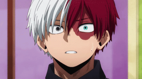 Shoto Todoroki Shocked GIF