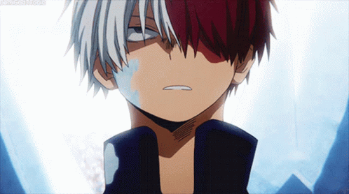 Shoto Todoroki Frozen Stare GIF