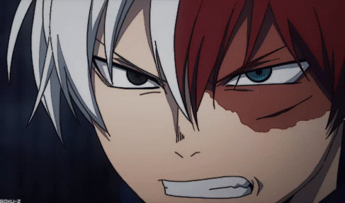 Feline Eyes Shoto Todoroki GIF
