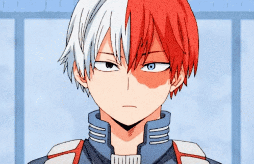 Shoto Todoroki Sly Smile GIF