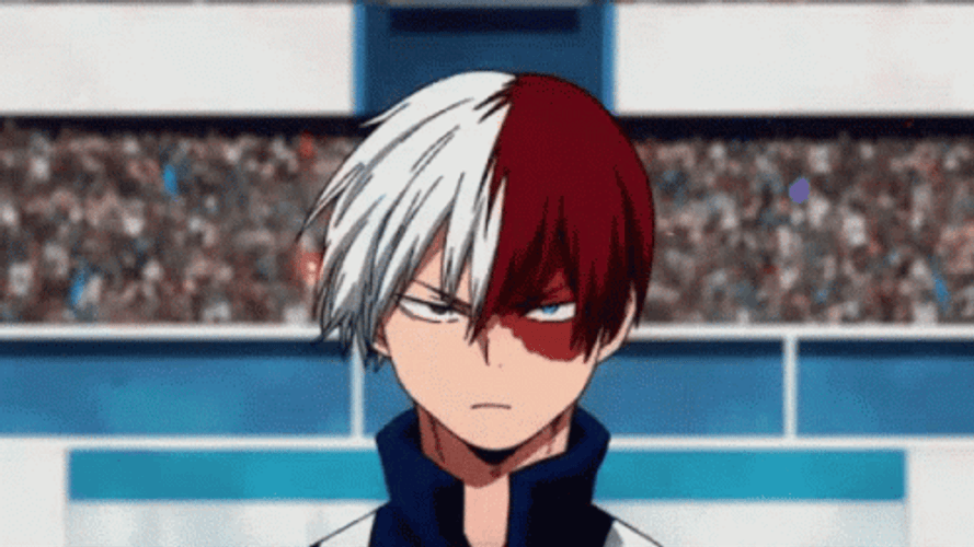 Shoto Todoroki Brave Walk GIF