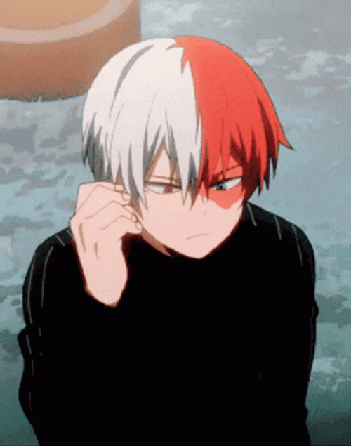 Shoto Todoroki Disappointed GIF