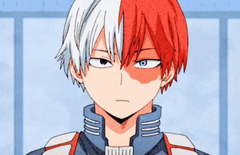Shoto Todoroki Sly Smile GIF