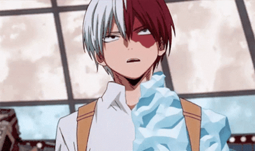 Shoto Todoroki  Talking GIF