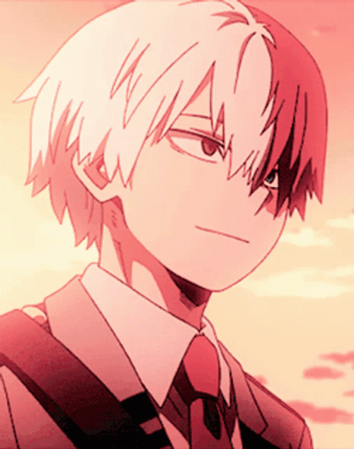 Shoto Todoroki Timid Smile  GIF