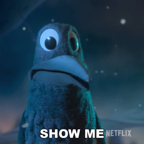 Show Me Magpie Robin Robin GIF