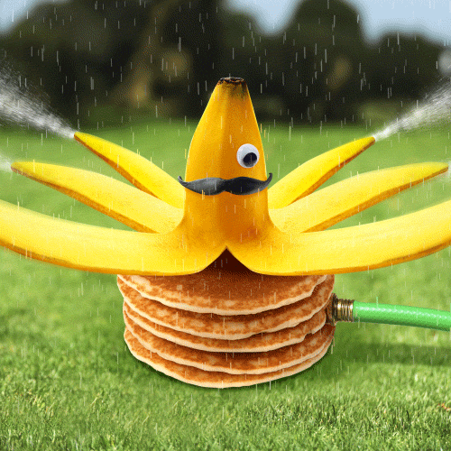 Shower Banana On Pancake Meme GIF
