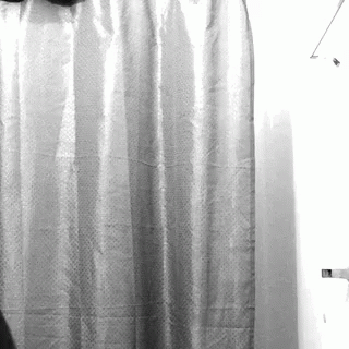 Shower Curtain Hanging on Bathroom Wall