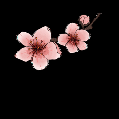 Showing Pink Tumblr Flower GIF