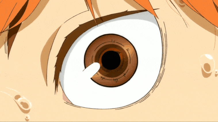 Shoyo Hinata Fell GIF