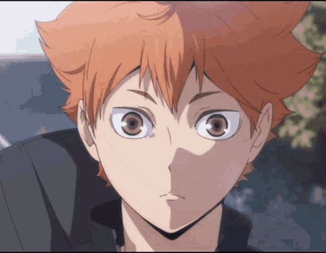 Shoyo Hinata Smile GIF