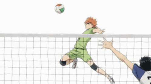 Shoyo Hinata Volleyball Anime GIF