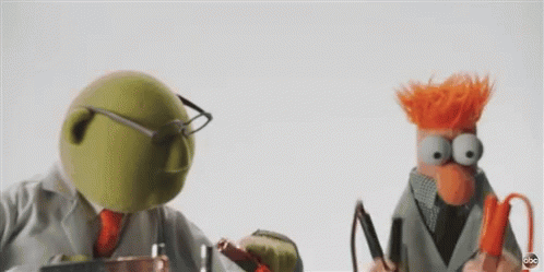 Shrek and Beaker Stuffed Animals