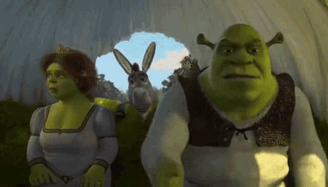 Shrek And Fiona Onion Carriage GIF