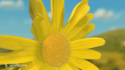 Shrek and Fiona Running Through Yellow Flowers Holding Hands
