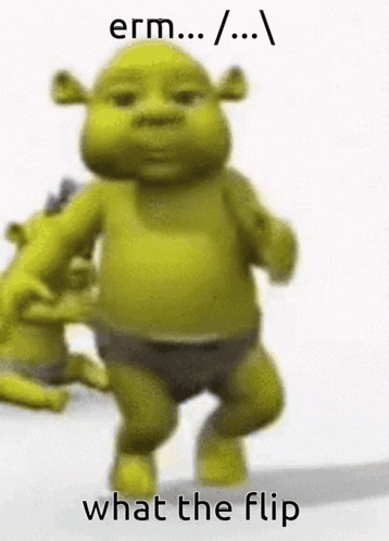 Shrek Baby Dancing What The Flip GIF