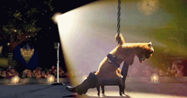 Shrek Character Puss In Boots Stage Shower Dancing GIF