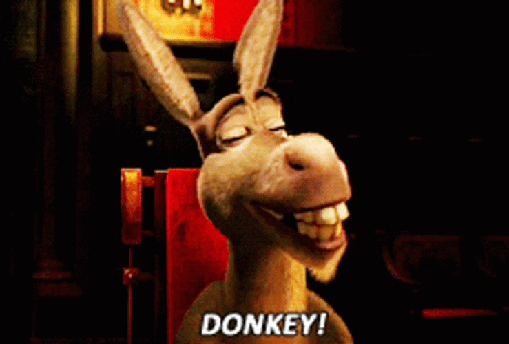 Shrek Donkey Big Smile Happy Face GIF