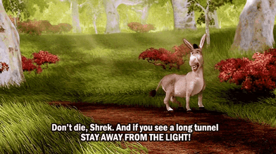 Shrek Donkey Don’t Die Advice Funny Quote GIF
