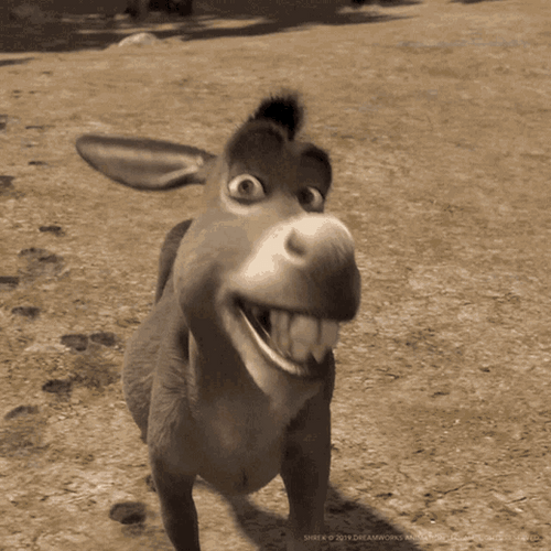 Shrek Donkey Happy Smile Cute Face GIF