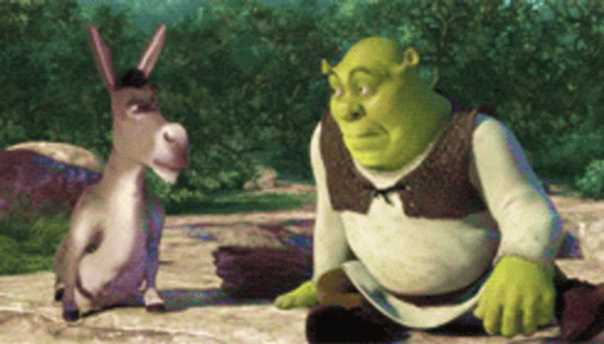 Shrek Donkey Looking At Each Other Skeptic GIF