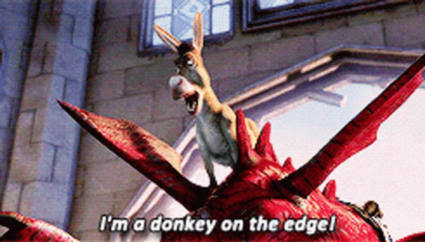 Shrek Donkey On The Edge Movie Quote Dragon GIF