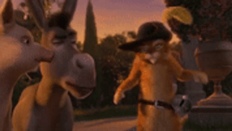 Shrek Donkey Puss In Boots Pig Team Up GIF