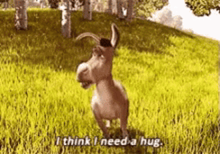 Shrek Donkey Sad I Need A Hug Quote GIF