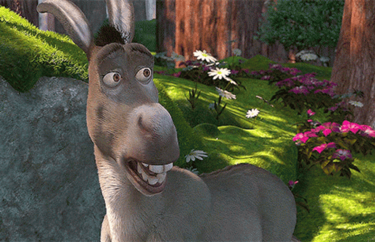 Shrek Donkey Scared Blown Away Fur Hair GIF