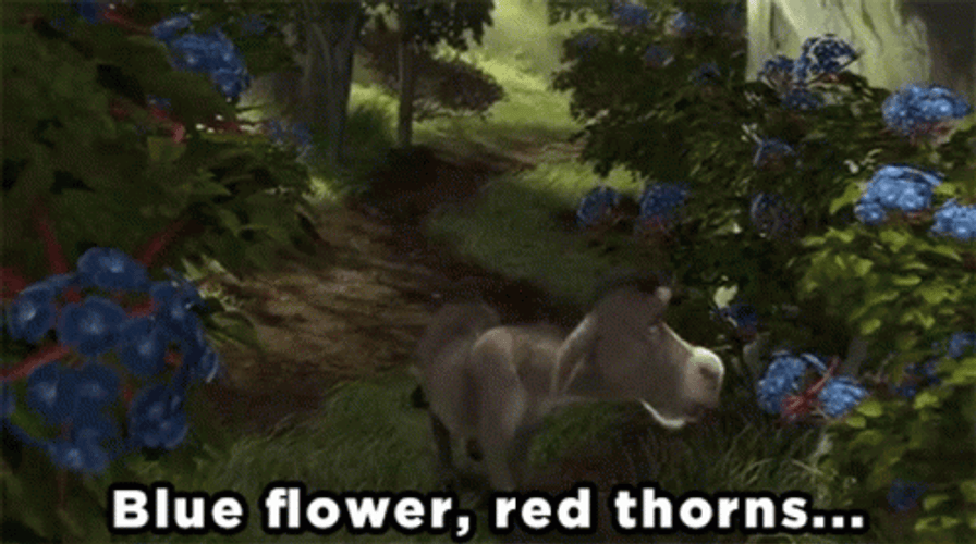 Shrek Donkey Searching Blue Flowers Red Thorns GIF