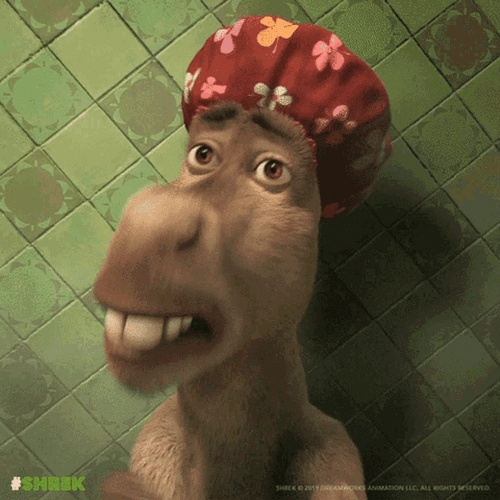 Shrek Donkey Shocked Scared Screaming Shower GIF