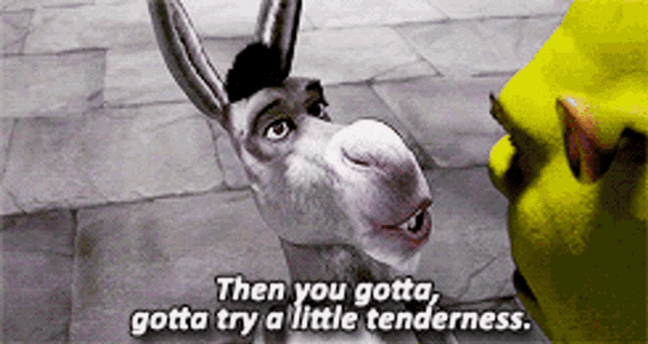 Shrek Donkey Singing Funny Scene GIF