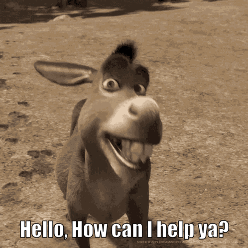 Shrek Donkey Smiling Asking How Can I Help Ya