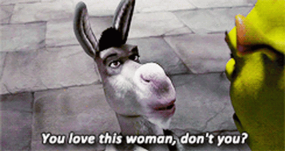 Shrek Donkey You Love This Woman Movie Quote GIF