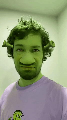 Shrek Filter Hmmmm GIF