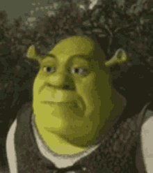 Shrek From Shrek Is Looking At The Camera With A Serious Expression On His Face . GIF