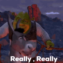 Shrek Holding Sword Saying Really Really On Mountain GIF