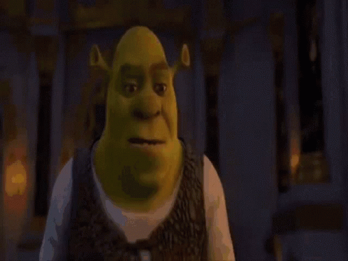 Shrek Is Standing In Front Of A Fire And Looking At The Camera . GIF
