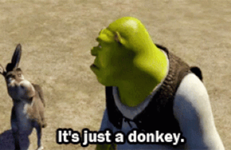 Shrek It’s Just A Donkey Funny Meme GIF