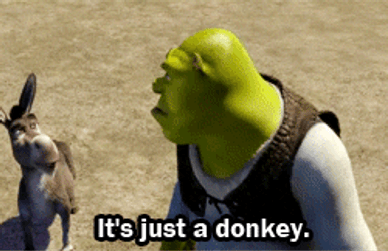 shrek yelling at donkey