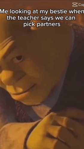 Shrek Looking at Bestie