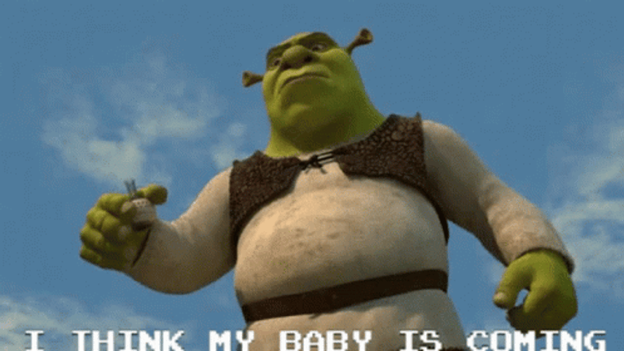 Shrek Meme Pregnant Baby Is Coming GIF 