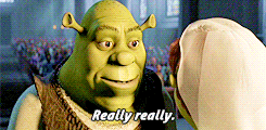 Shrek Meme Wedding Vow Princess Fiona GIF