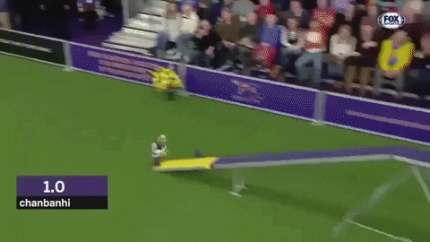 Shrek Running Dog Show GIF