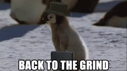 Shrek Saying It Was Fun Now Back to Grind
