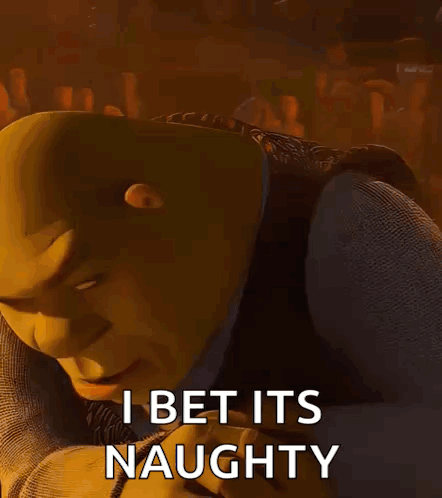 Shrek Says I Bet Its Naughty GIF