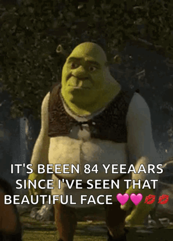 Shrek Says It 'S Been 84 Yeeaars Since He 'S Seen That Beautiful Face GIF