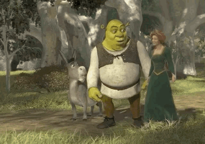 Shrek Fiona GIFs