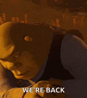 Shrek Shrek Rizz Gif GIF