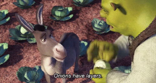 Shrek Talking to Donkey About Onions
